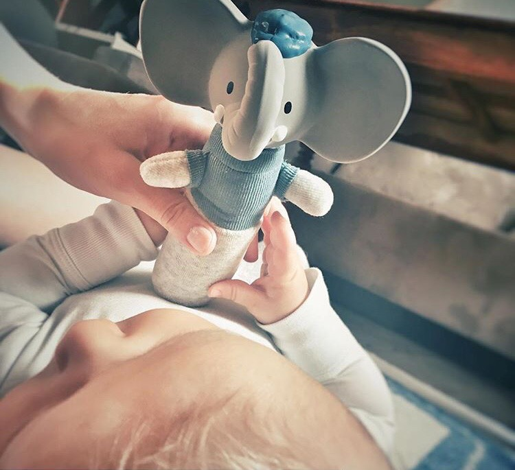 Alvin El Elefante Chirriador - Imagen 2