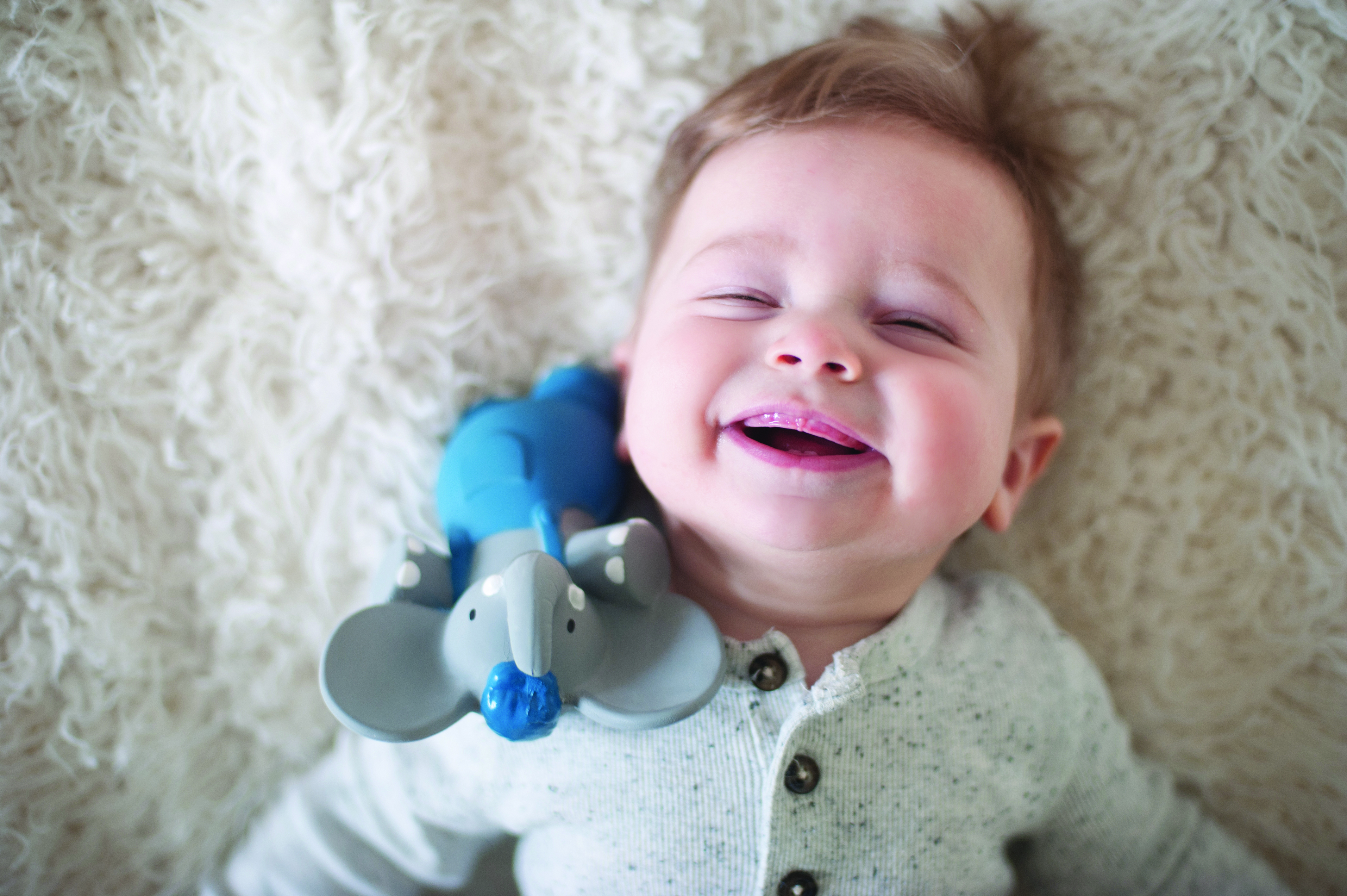 Alvin El Elefante Juguete chirriador de goma - Imagen 3