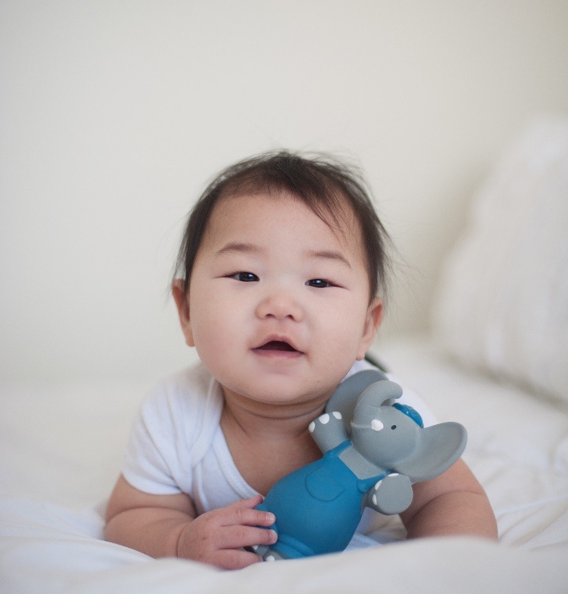 Alvin El Elefante Juguete chirriador de goma - Imagen 2